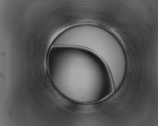 X0000091091328200708060950
