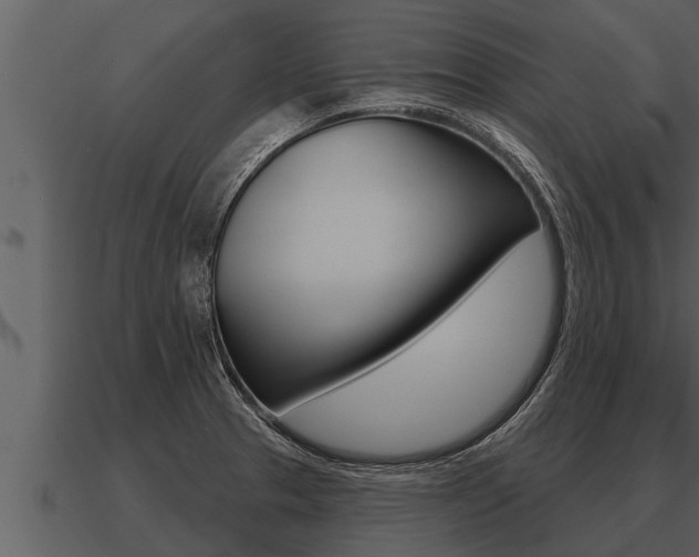 X0000091091329200708060950