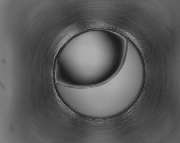X0000091091330200708060950