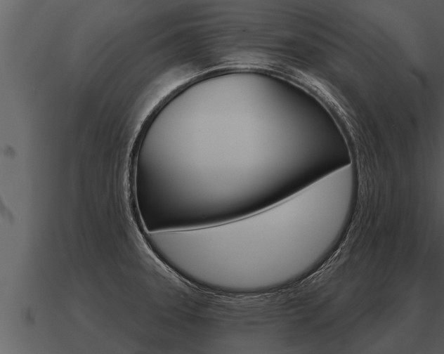 X0000091091331200708060950