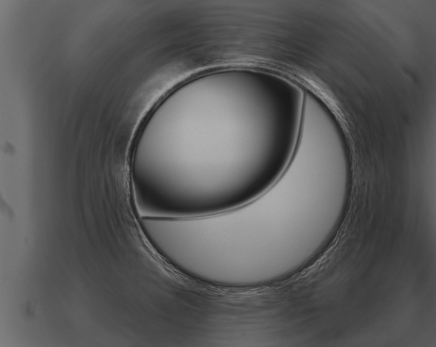 X0000091091332200708060950