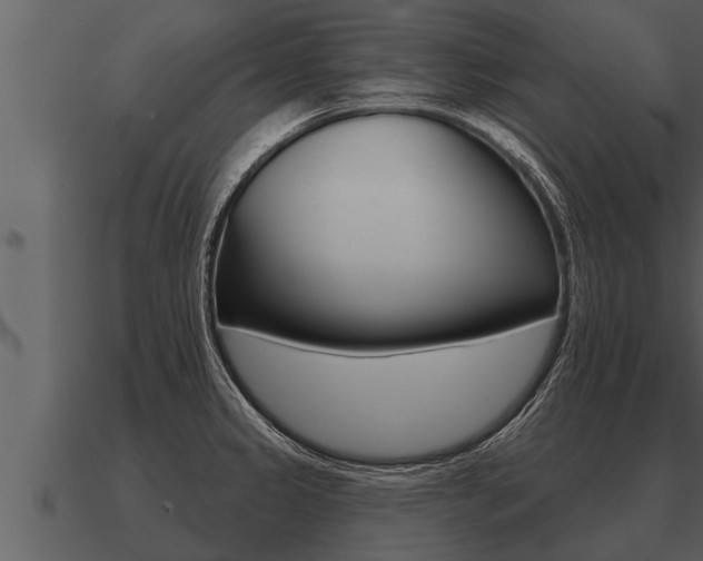 X0000091091333200708060950