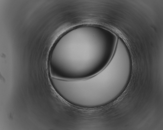 X0000091091334200708060950