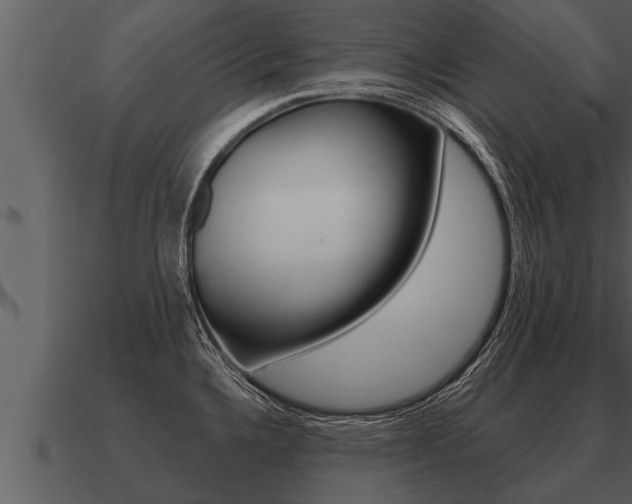 X0000091091336200708060951