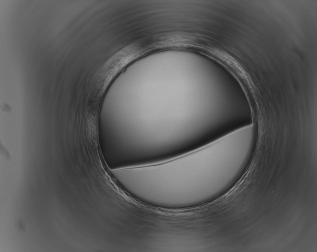 X0000091091337200708060951
