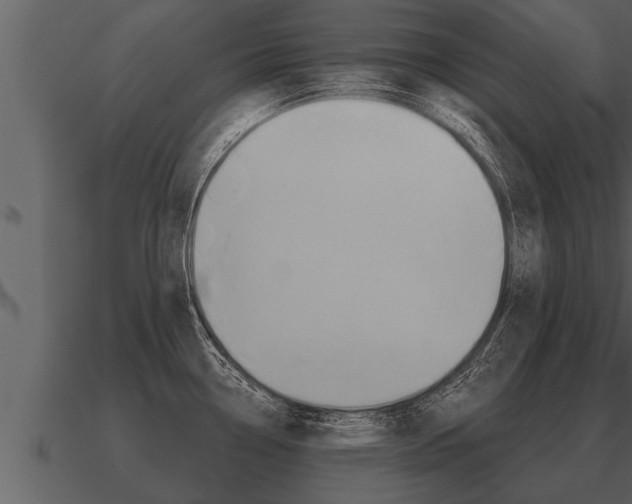 X0000091091338200708060951