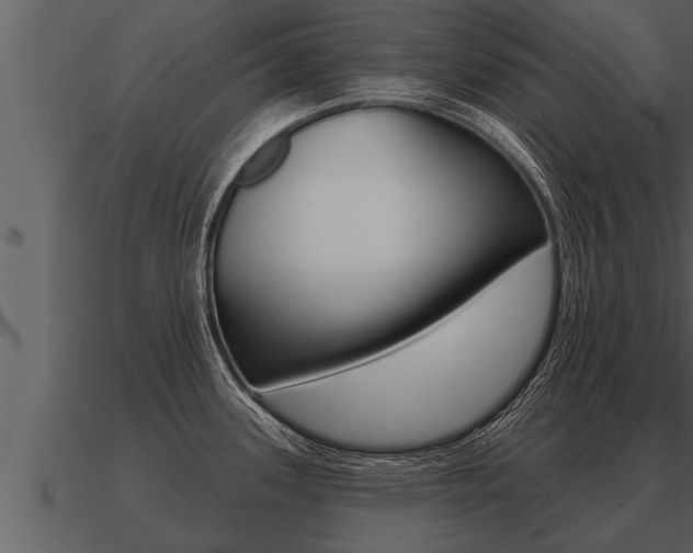 X0000091091339200708060951