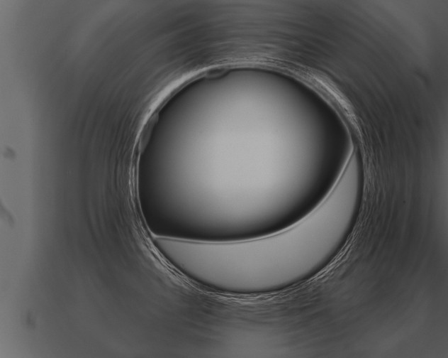 X0000091091340200708060951