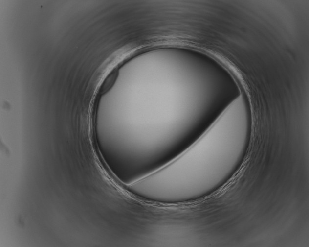 X0000091091341200708060951