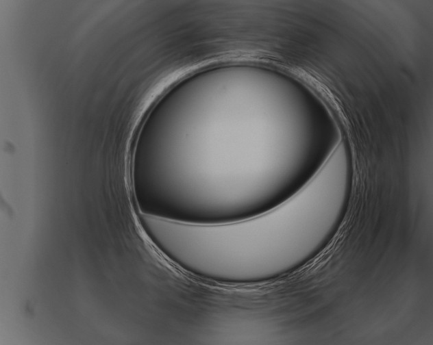 X0000091091342200708060951