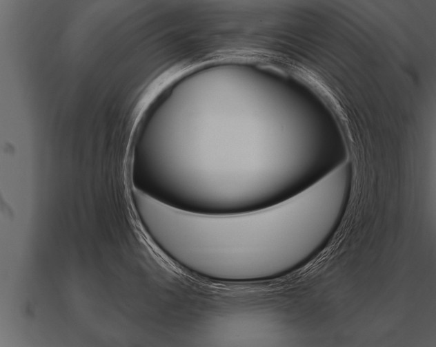 X0000091091344200708060951