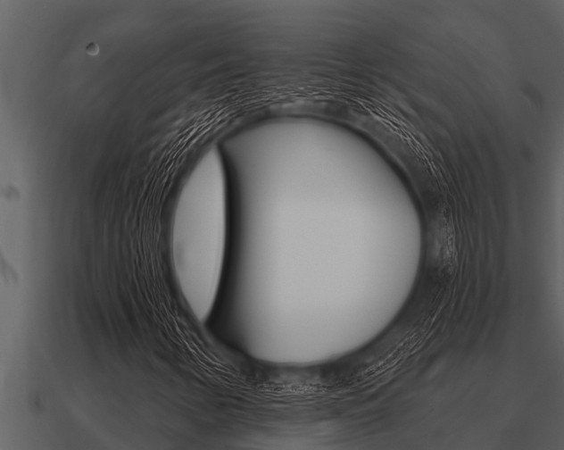 X0000091091346200708060950