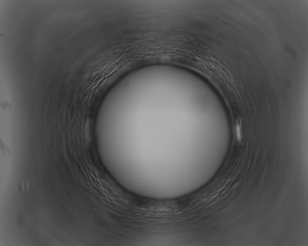 X0000091091347200708060950