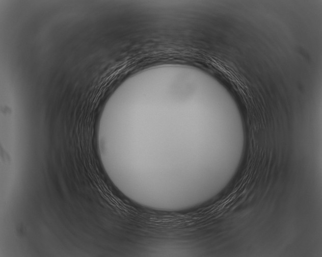 X0000091091348200708060950