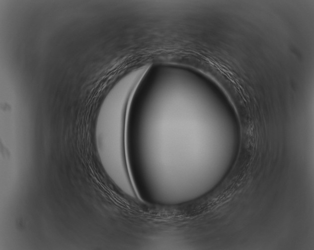 X0000091091349200708060950