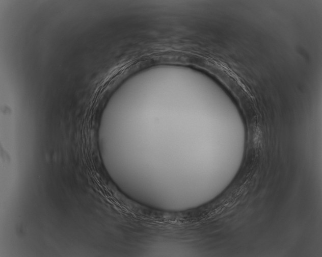 X0000091091350200708060950