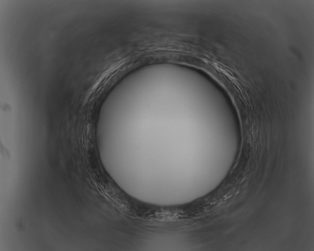 X0000091091351200708060950