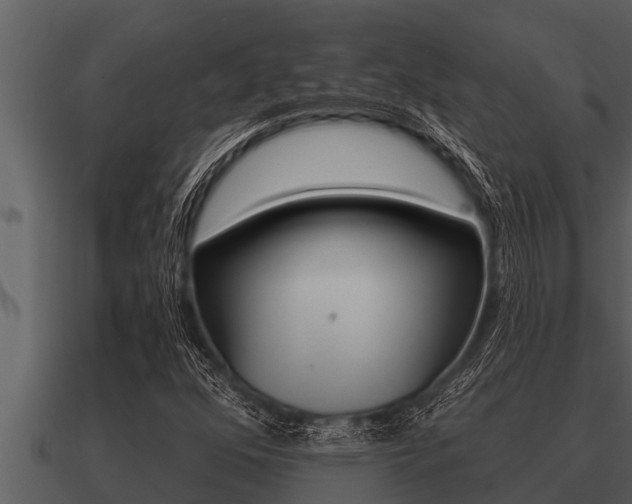 X0000091091352200708060950