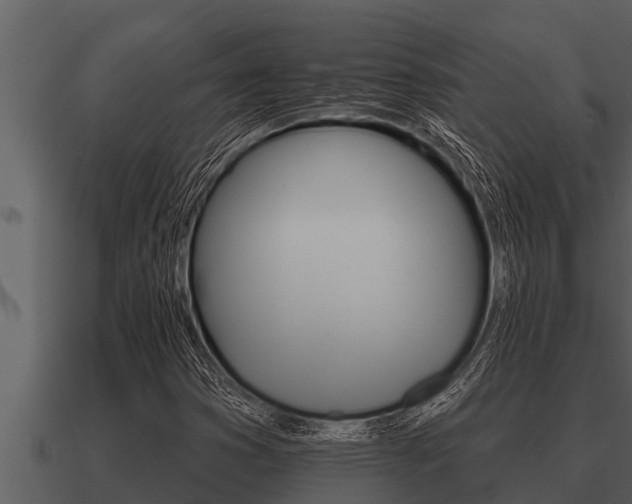 X0000091091353200708060950