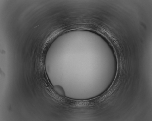 X0000091091354200708060950