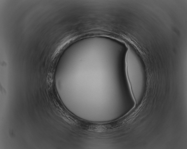 X0000091091355200708060950