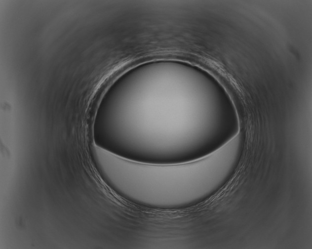 X0000091091356200708060950