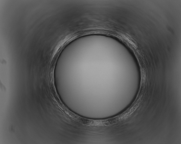 X0000091091357200708060950