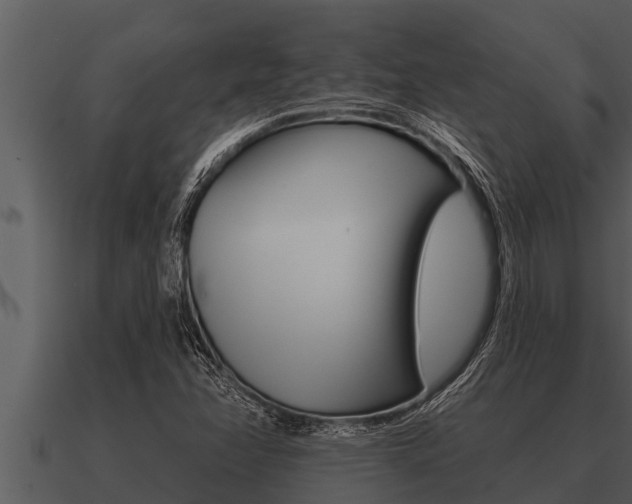 X0000091091358200708060950