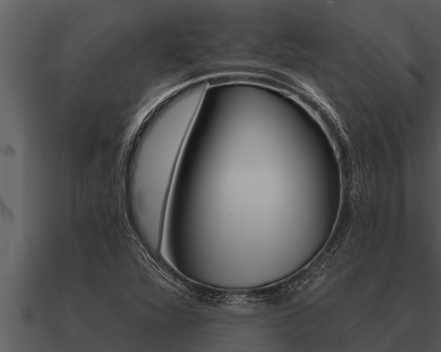 X0000091091360200708060950