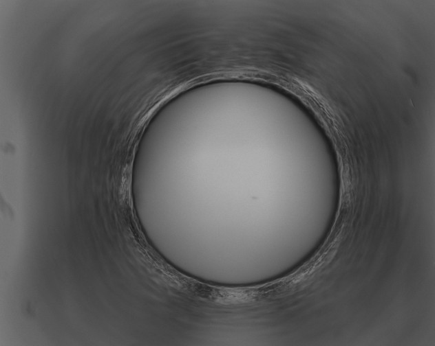 X0000091091361200708060950