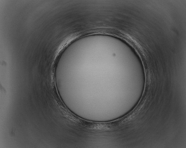 X0000091091362200708060950