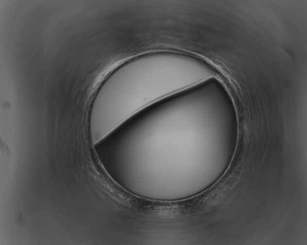 X0000091091363200708060950