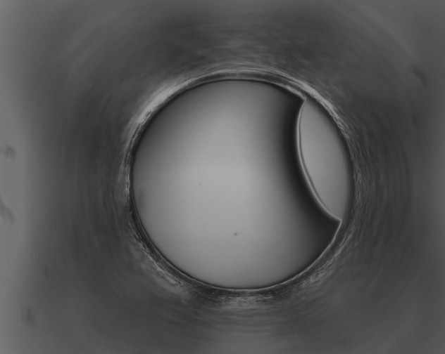 X0000091091367200708060950