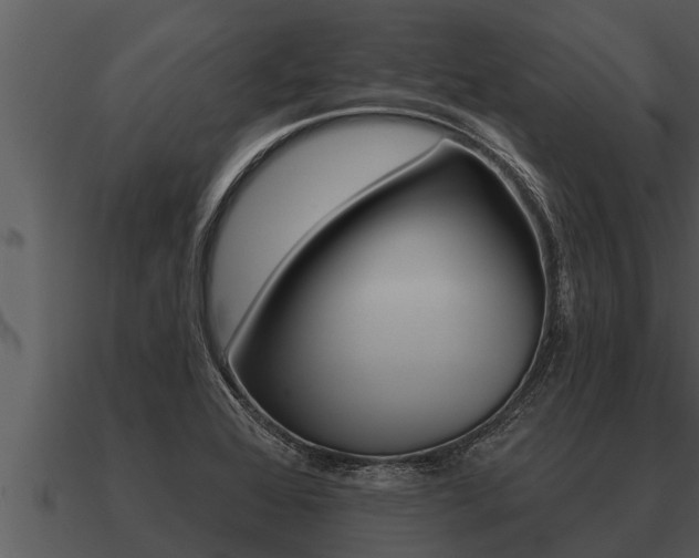 X0000091091368200708060950