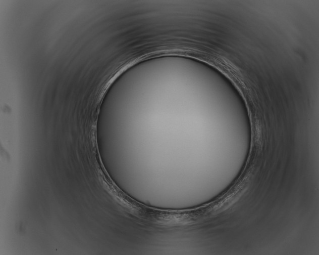 X0000091091369200708060950