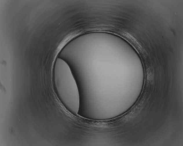 X0000091091370200708060950