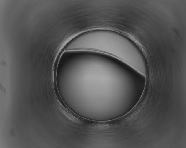 X0000091091372200708060950