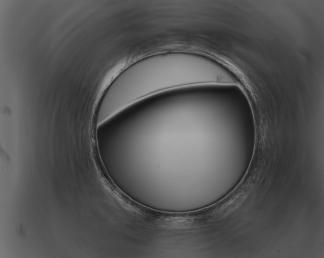 X0000091091373200708060950