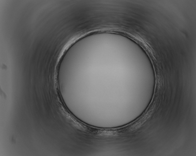 X0000091091374200708060950