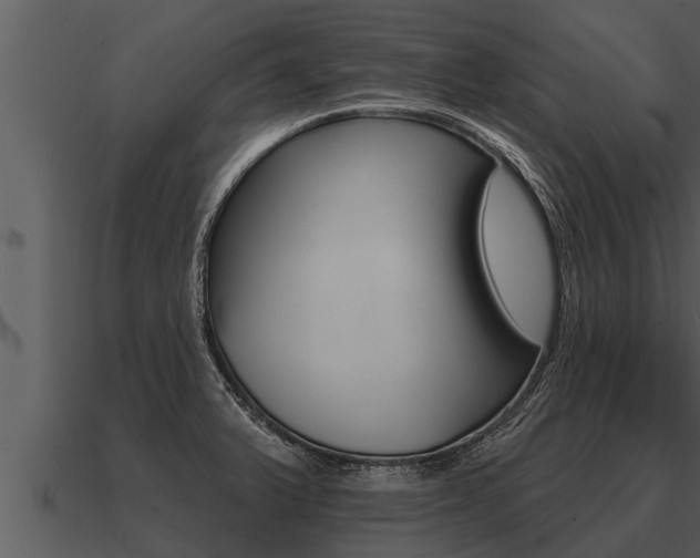 X0000091091375200708060950