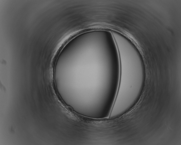 X0000091091376200708060950