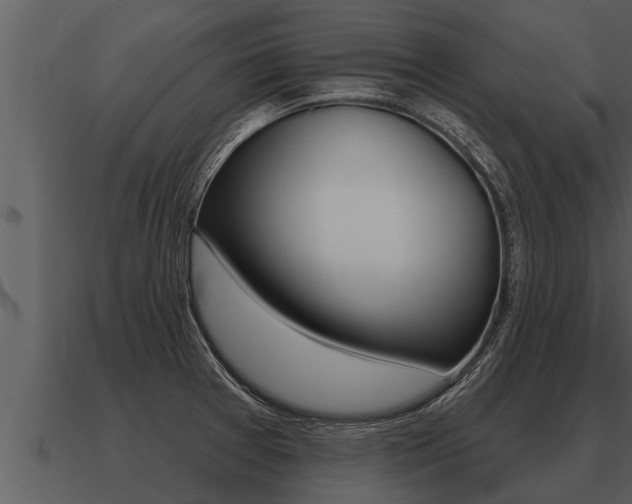 X0000091091377200708060950