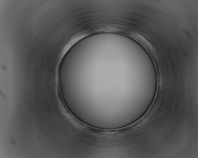 X0000091091378200708060950