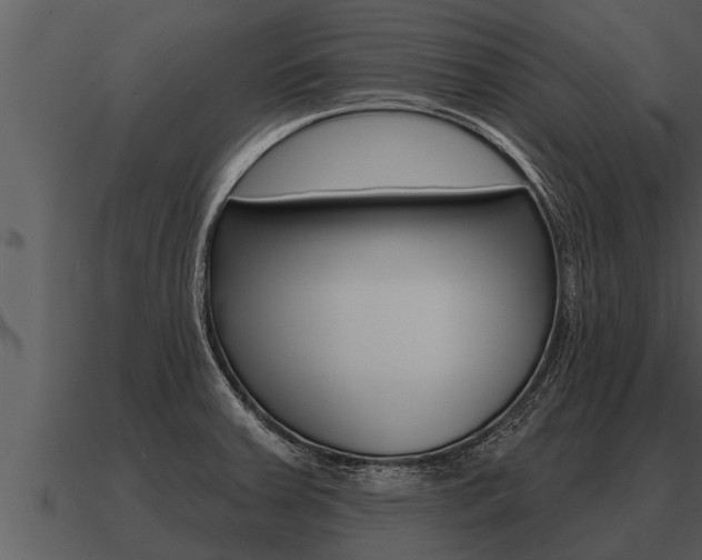 X0000091091379200708060950