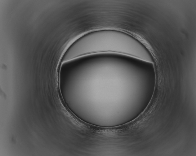 X0000091091380200708060950