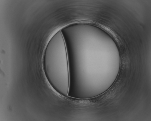 X0000091091383200708060950