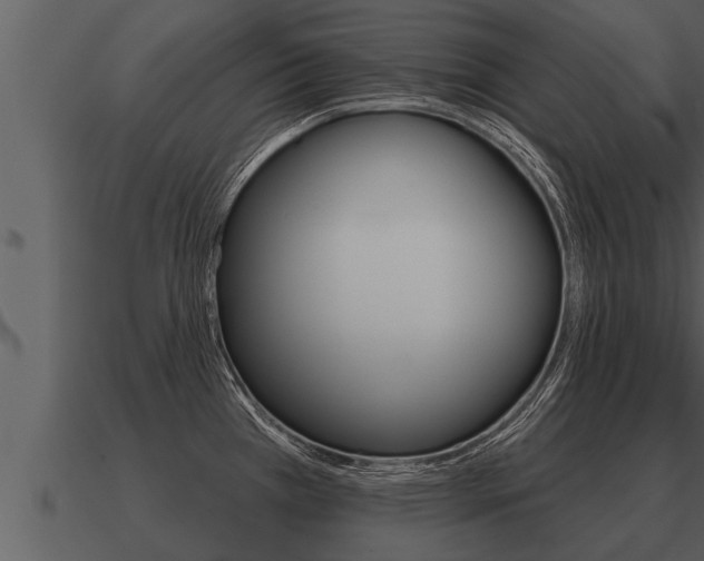 X0000091091385200708060949