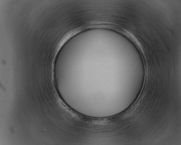 X0000091091386200708060949