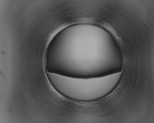 X0000091091387200708060949
