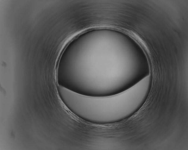 X0000091091388200708060949
